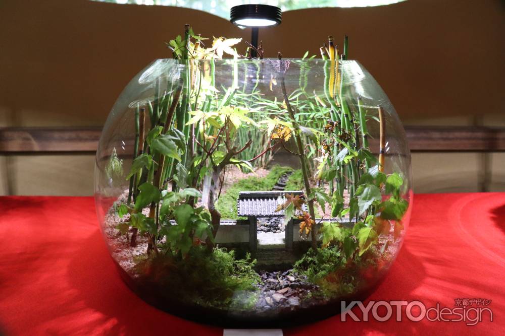 竹のお寺 【地蔵院】コケ寺リウム