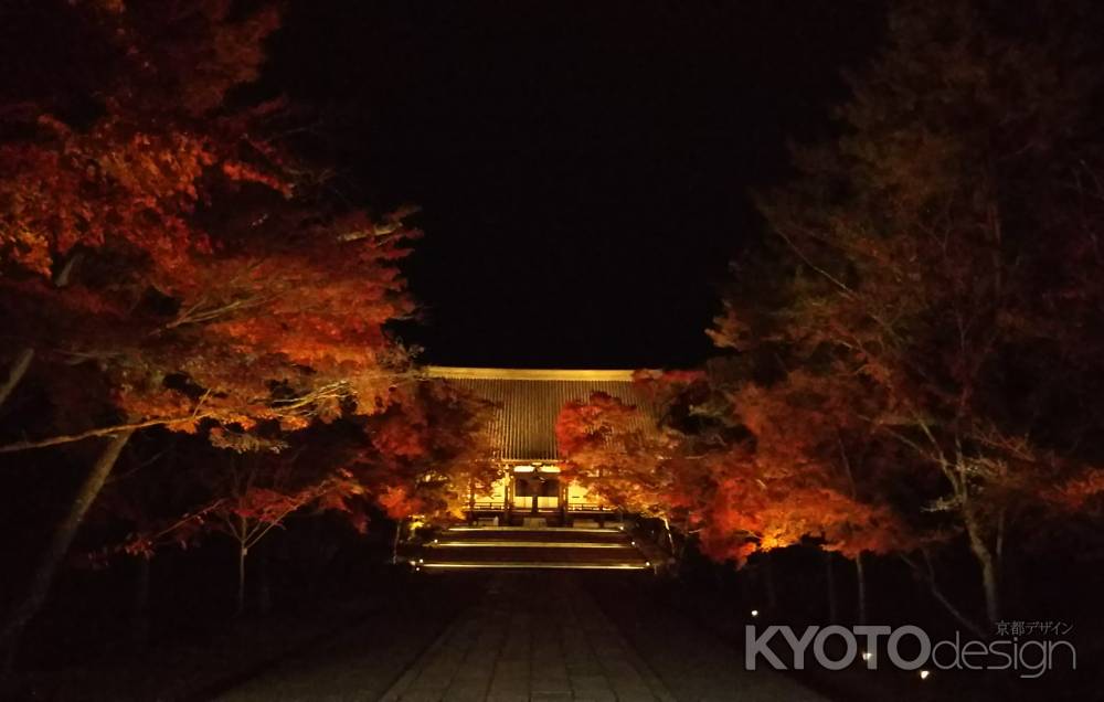 夜の金堂と紅葉