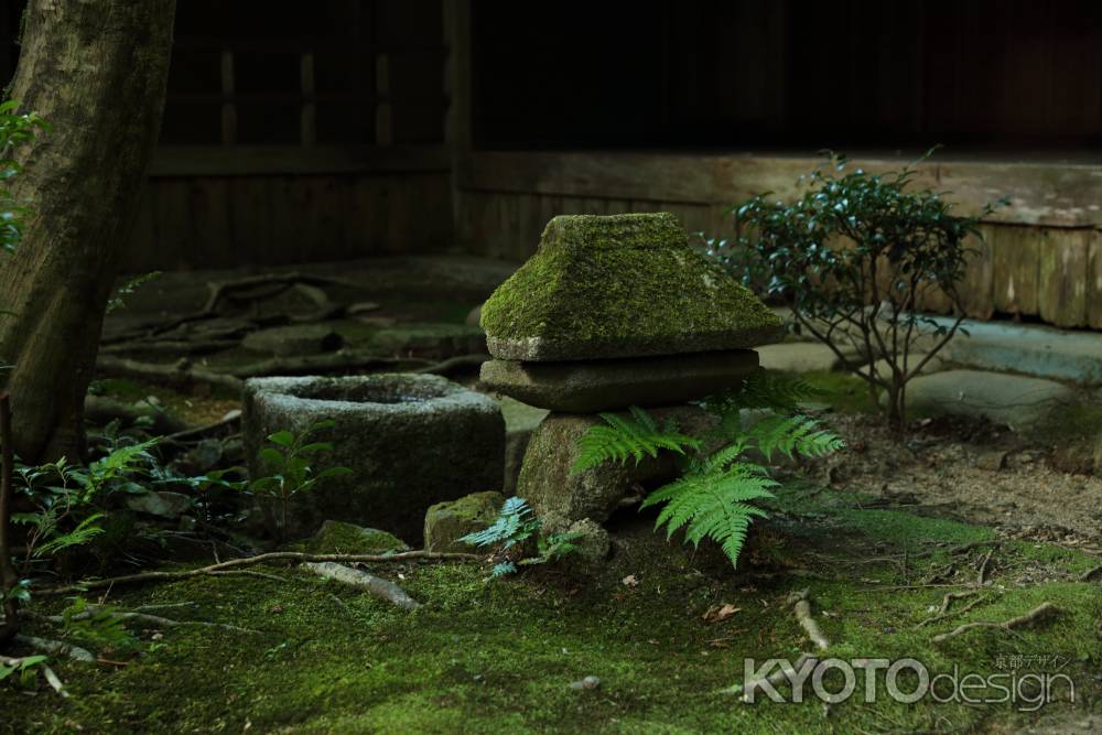 歯朶を穿いた石灯籠