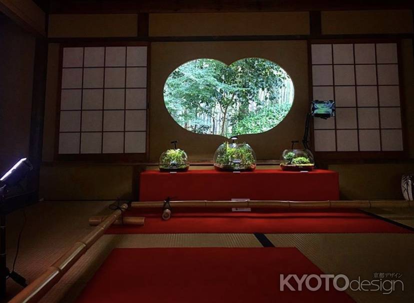 2019 地蔵院の苔寺リウム