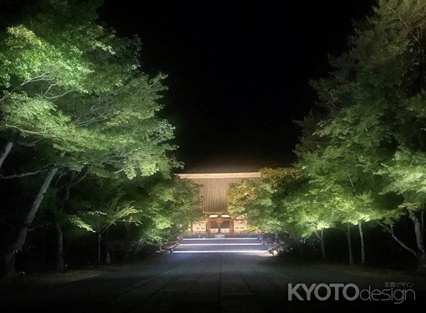 2019 仁和寺のライトアップ