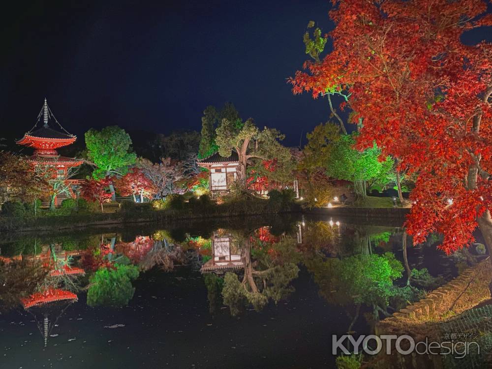 2019 大覚寺紅葉