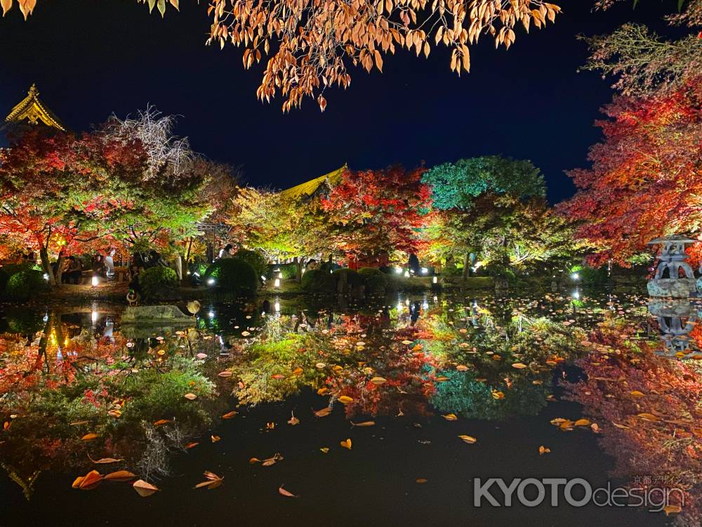 2019 東寺紅葉