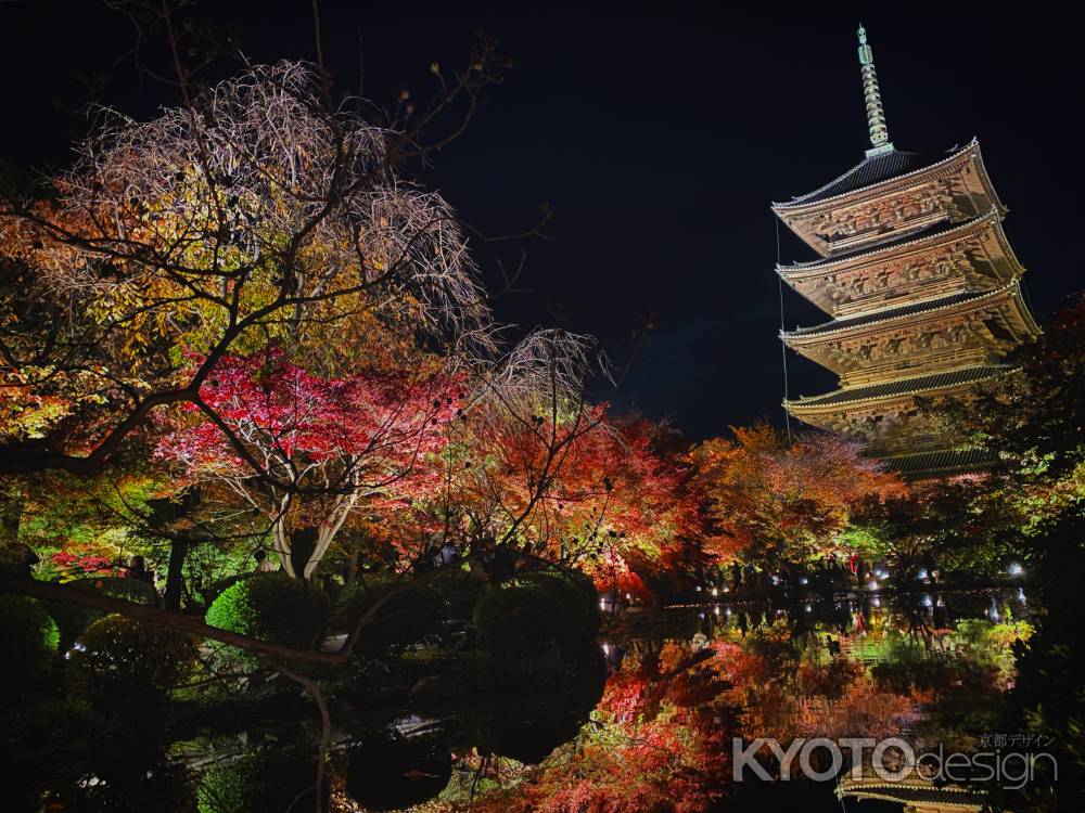 2019 東寺紅葉ライトアップ