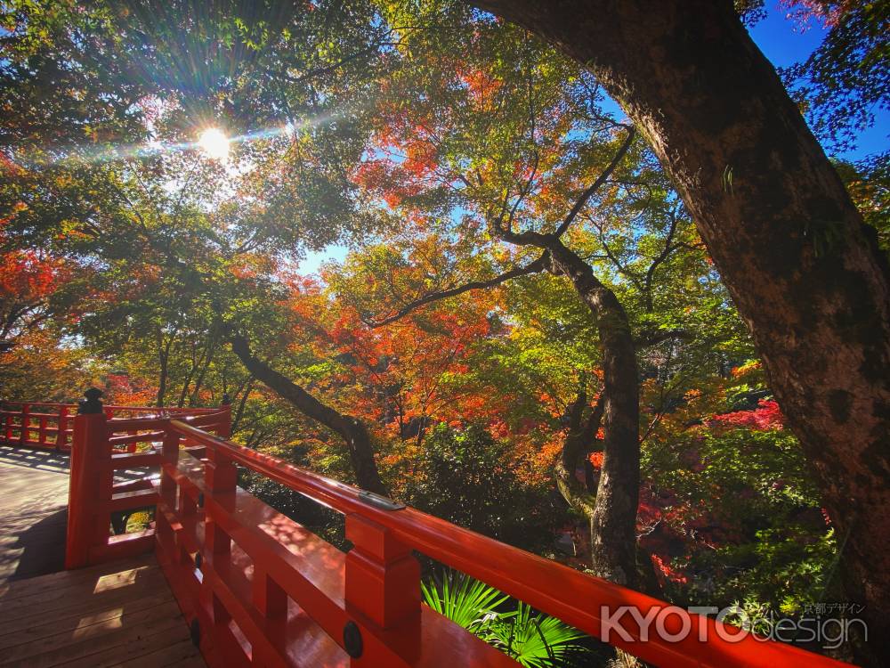 2019 北野天満宮紅葉