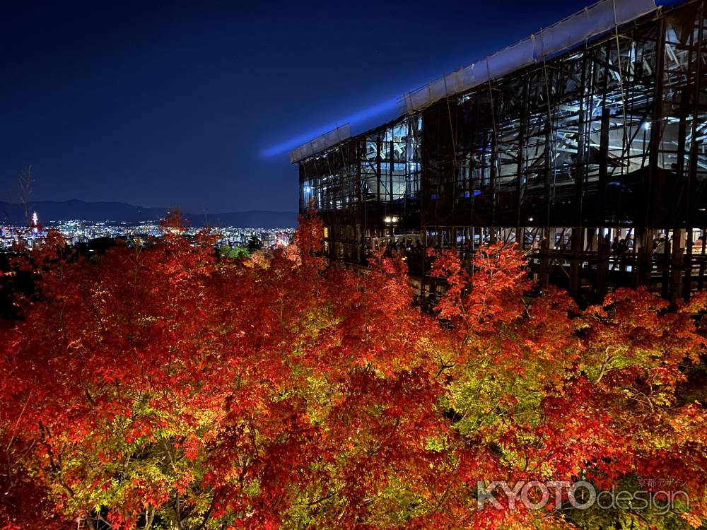 2019 清水寺紅葉2