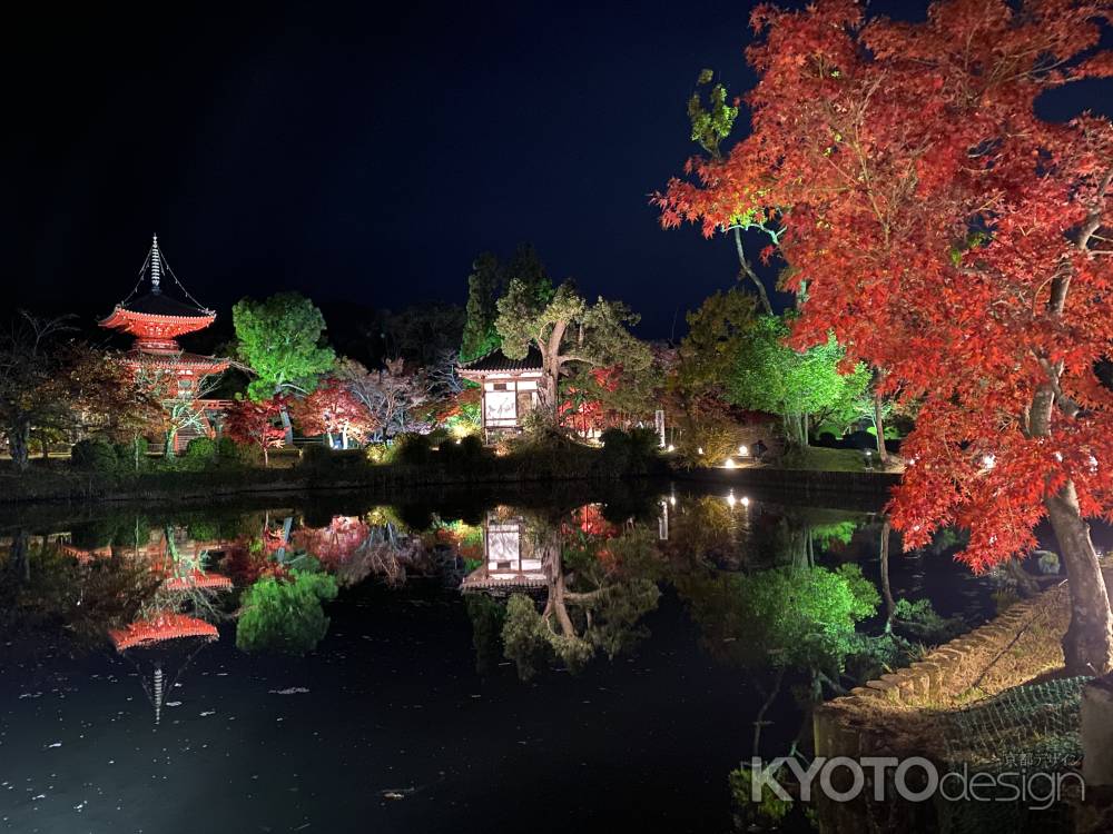 2019 大覚寺紅葉