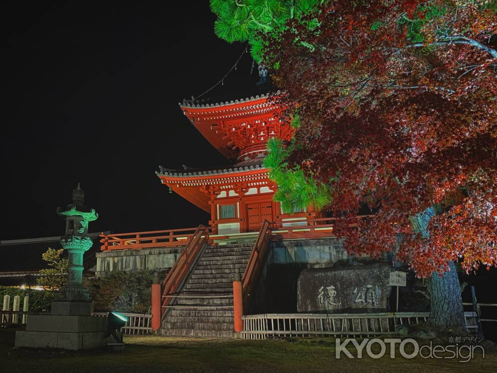 2019 大覚寺紅葉