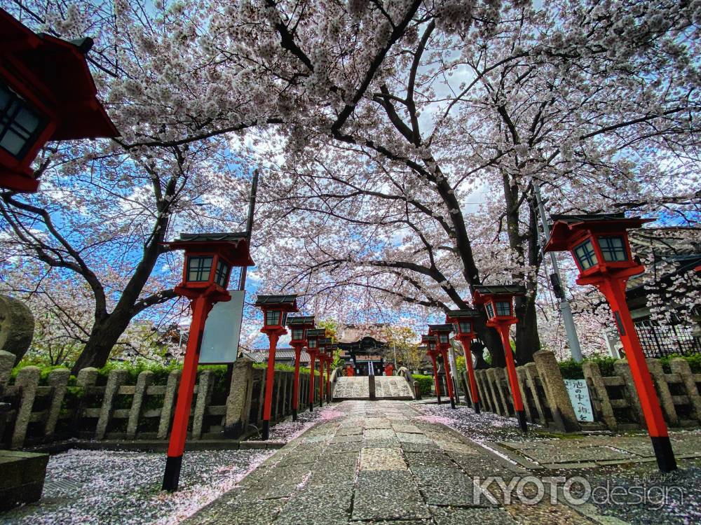 2020 六孫王神社