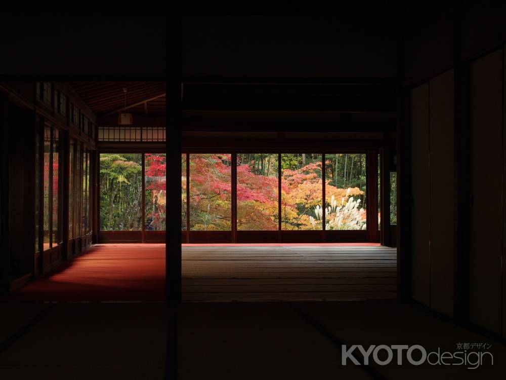 2019　盛秋　天授庵　1