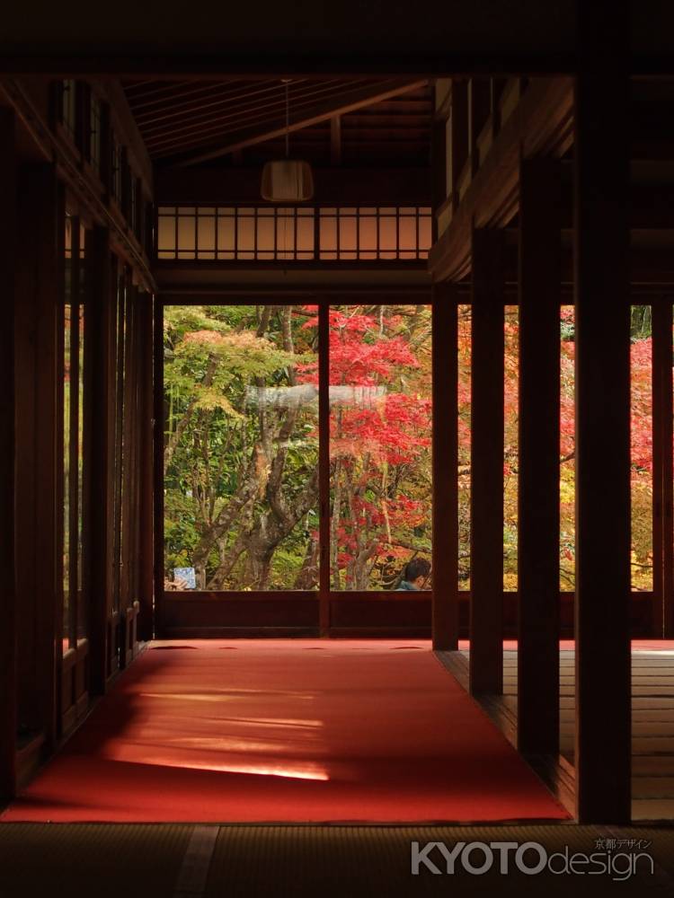 2019　盛秋　天授庵　3