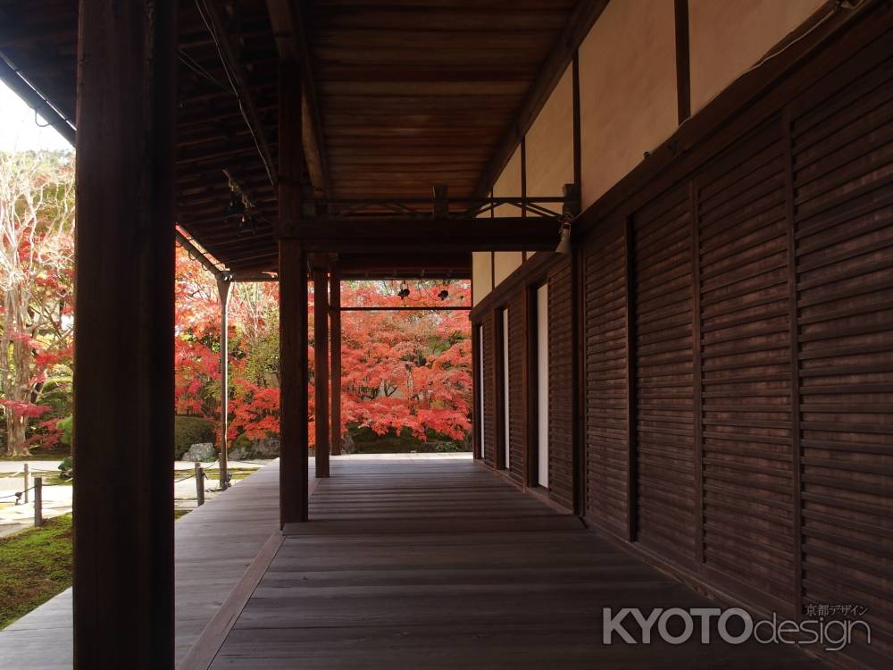 2019　盛秋　天授庵　6