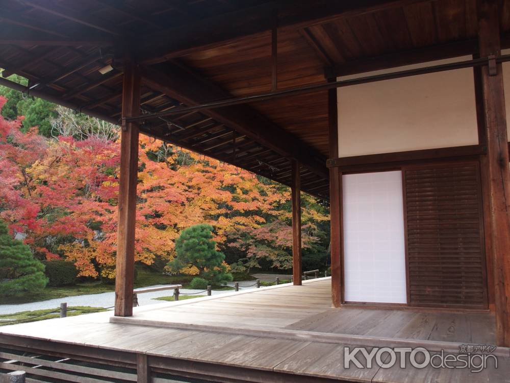 2019　盛秋　天授庵　7