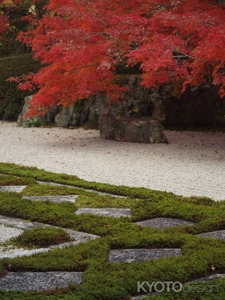 2019　盛秋　天授庵　11