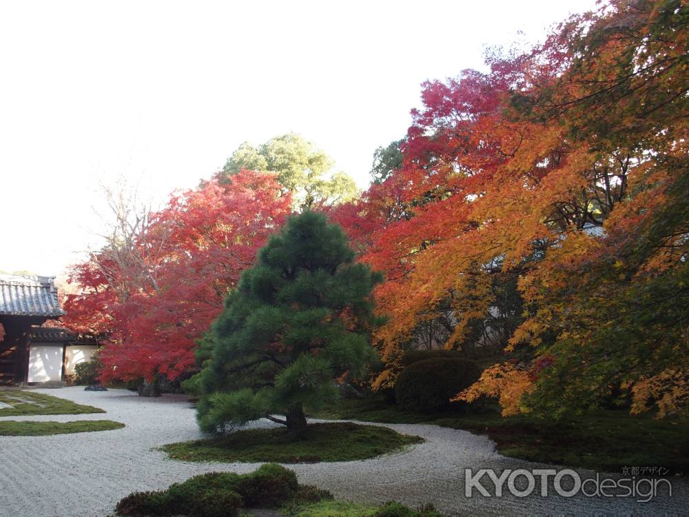 2019　盛秋　天授庵　12