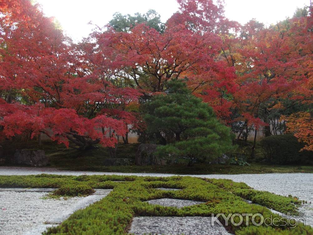 2019　盛秋　天授庵　13