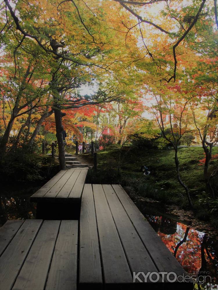 2019　盛秋　天授庵　15