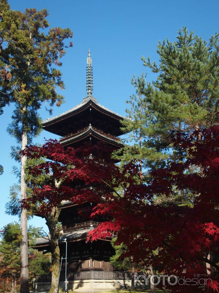 2019　盛秋　仁和寺　5