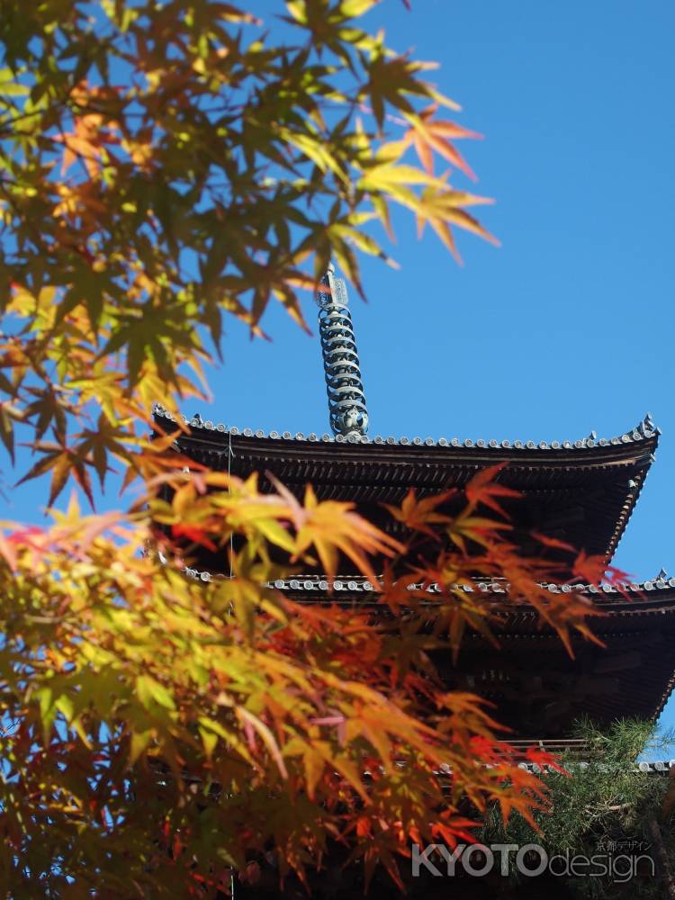 2019　盛秋　仁和寺　7