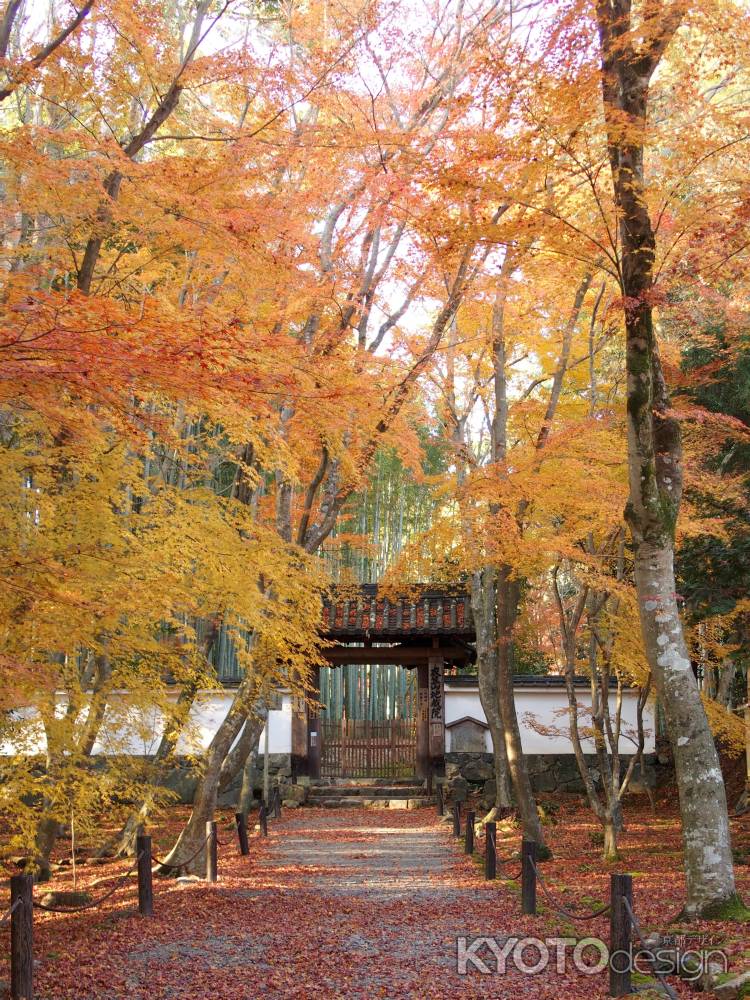 2019　盛秋　竹の寺　地蔵院　2
