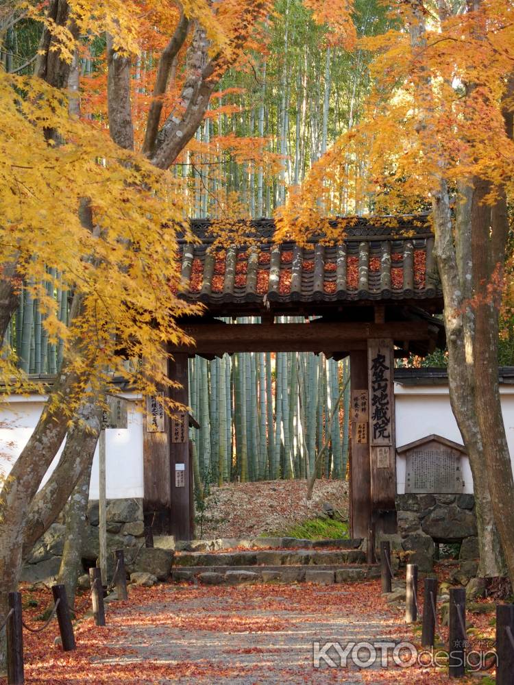2019　盛秋　竹の寺　地蔵院　4