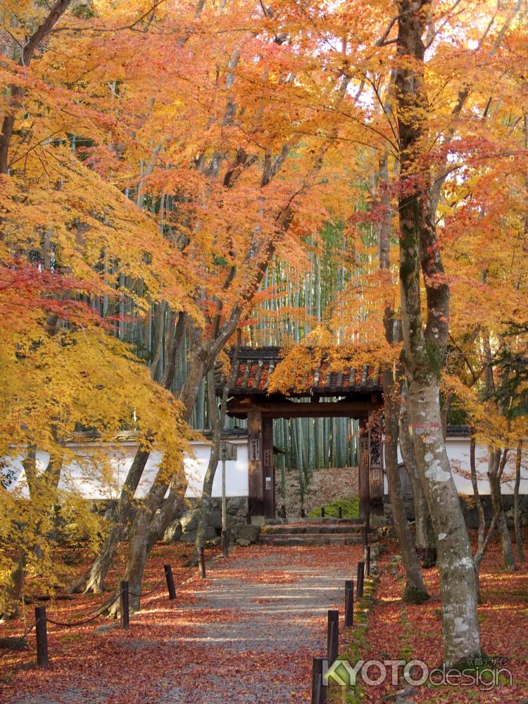 2019　盛秋　竹の寺　地蔵院　5