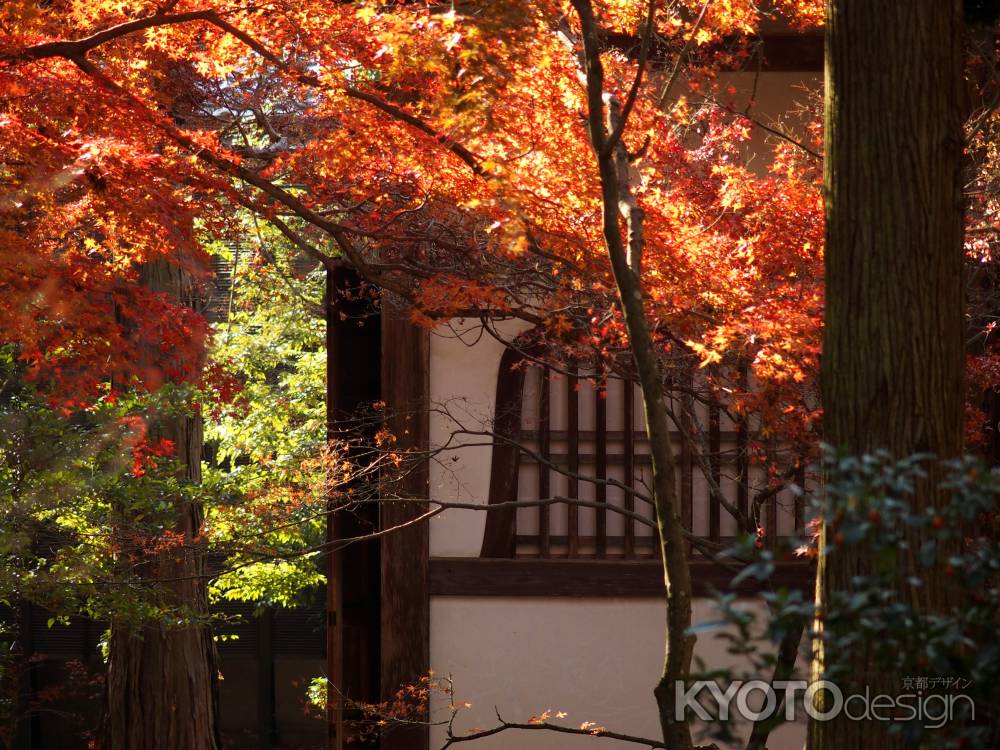 2019　盛秋　竹の寺　地蔵院