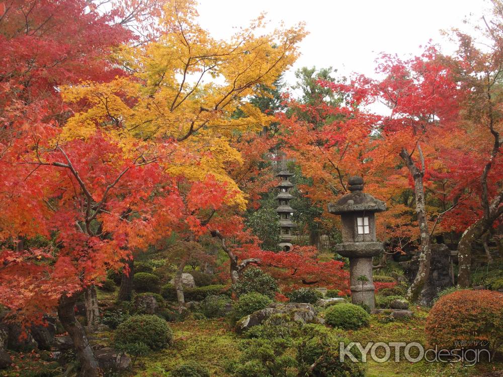 2019　盛秋　南禅寺　大寧軒　3