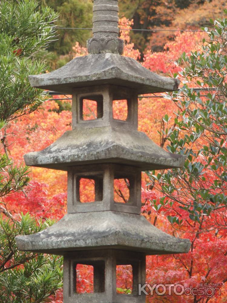 2019　盛秋　南禅寺　大寧軒　4