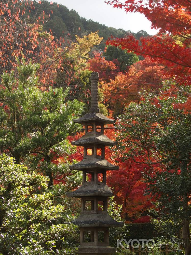 2019　盛秋　南禅寺　大寧軒　6