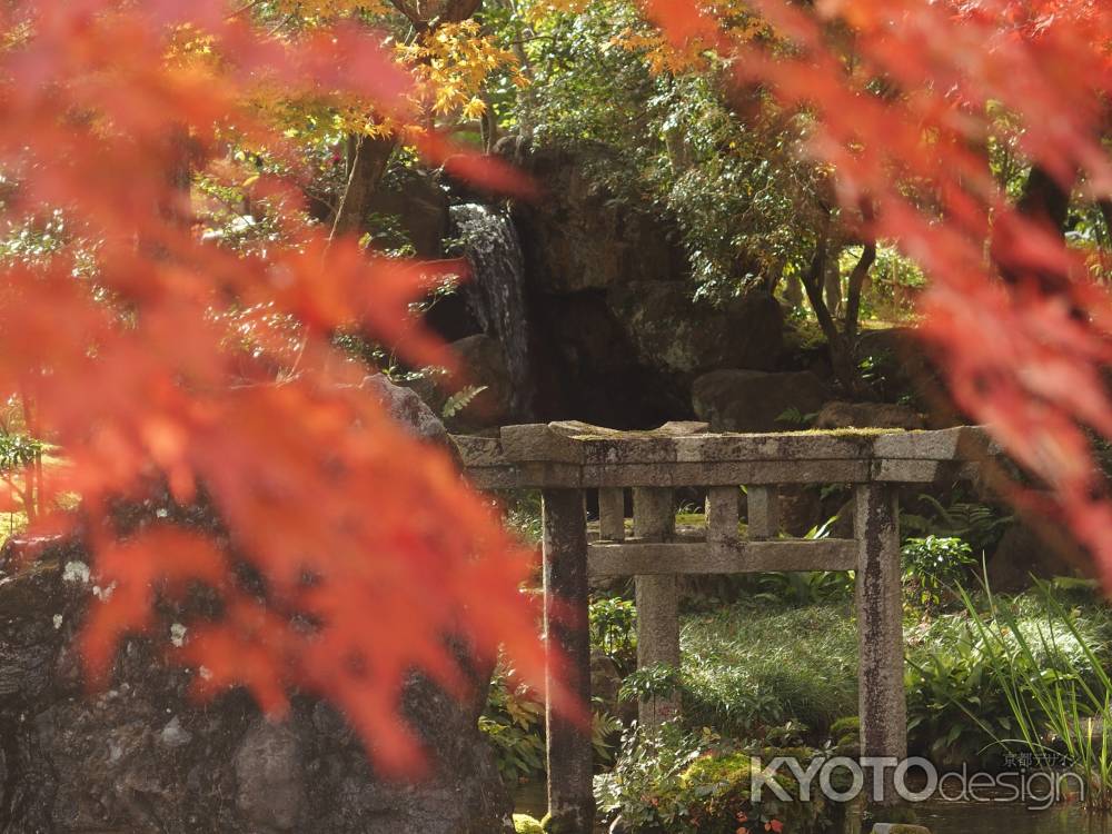 2019　盛秋　南禅寺　大寧軒　8
