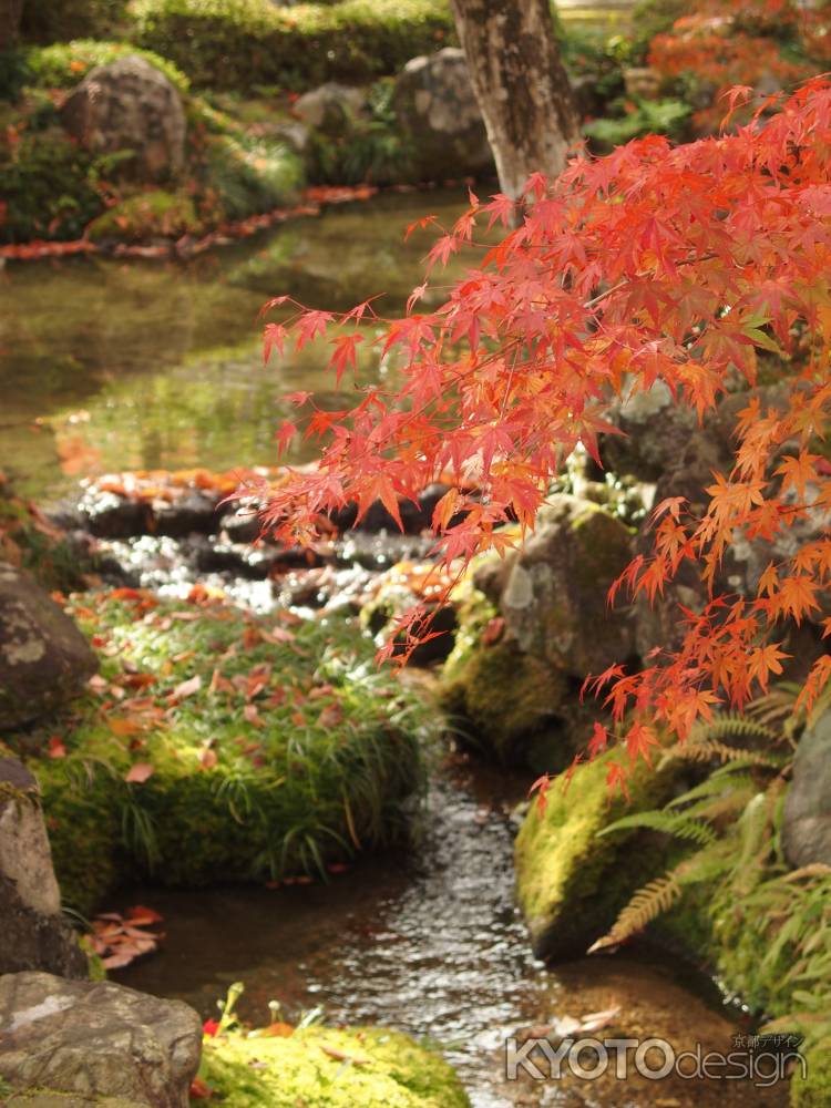 2019　盛秋　南禅寺　大寧軒　11