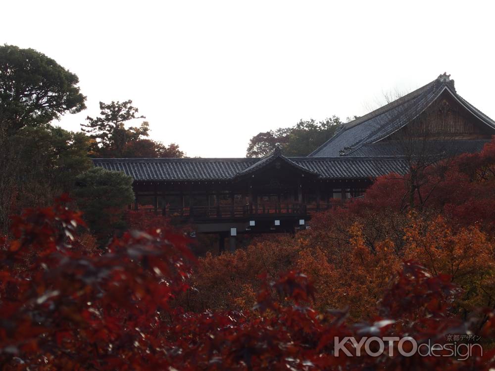 2019　盛秋　東福寺　3