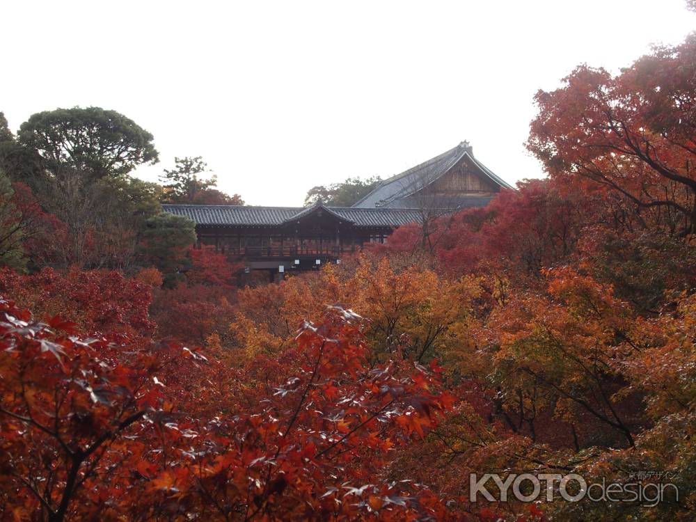 2019　盛秋　東福寺　4