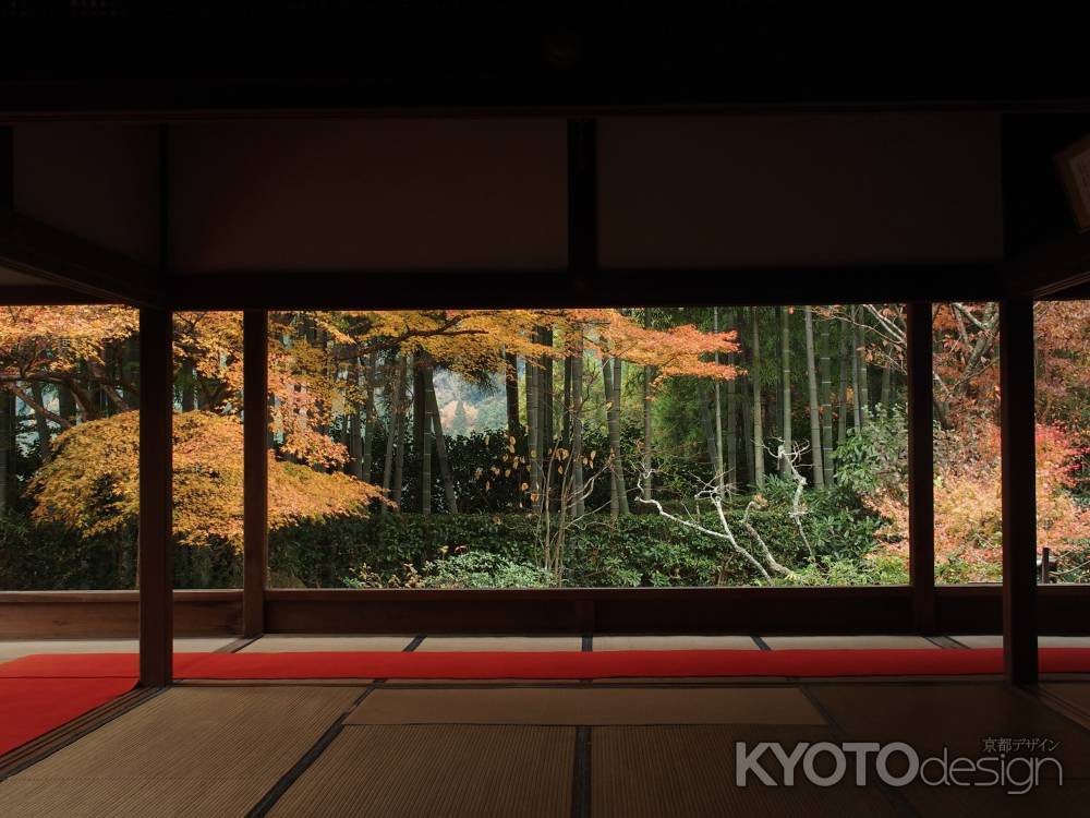 2019　盛秋　宝泉院　1