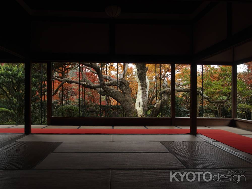 2019　盛秋　宝泉院　3