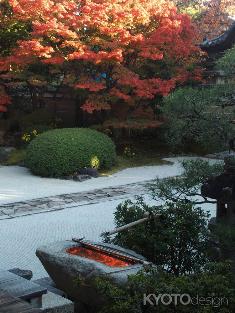 2019　盛秋　妙顕寺　2