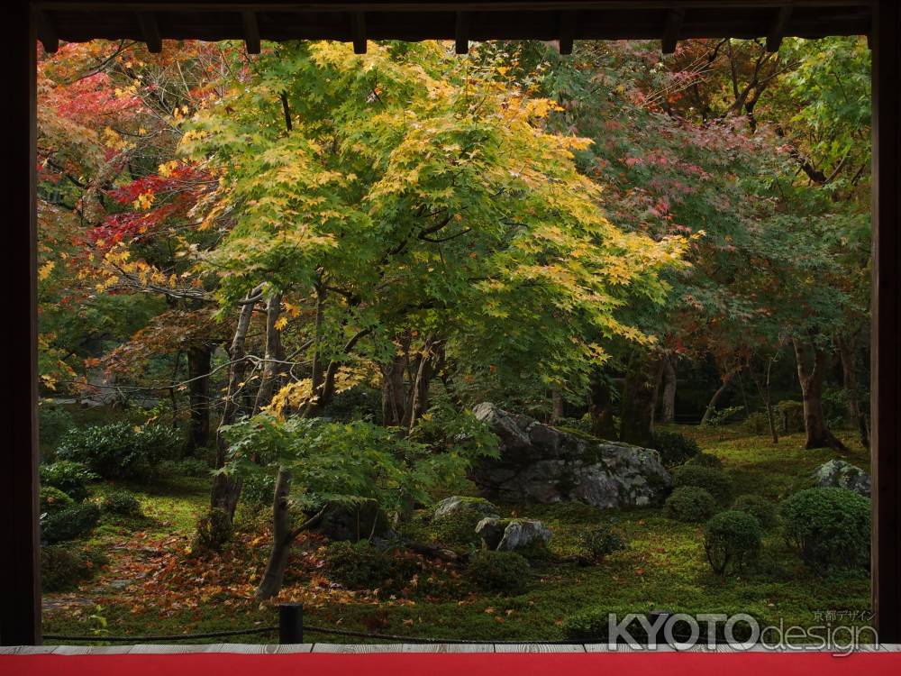 2019　初秋　圓光寺　3