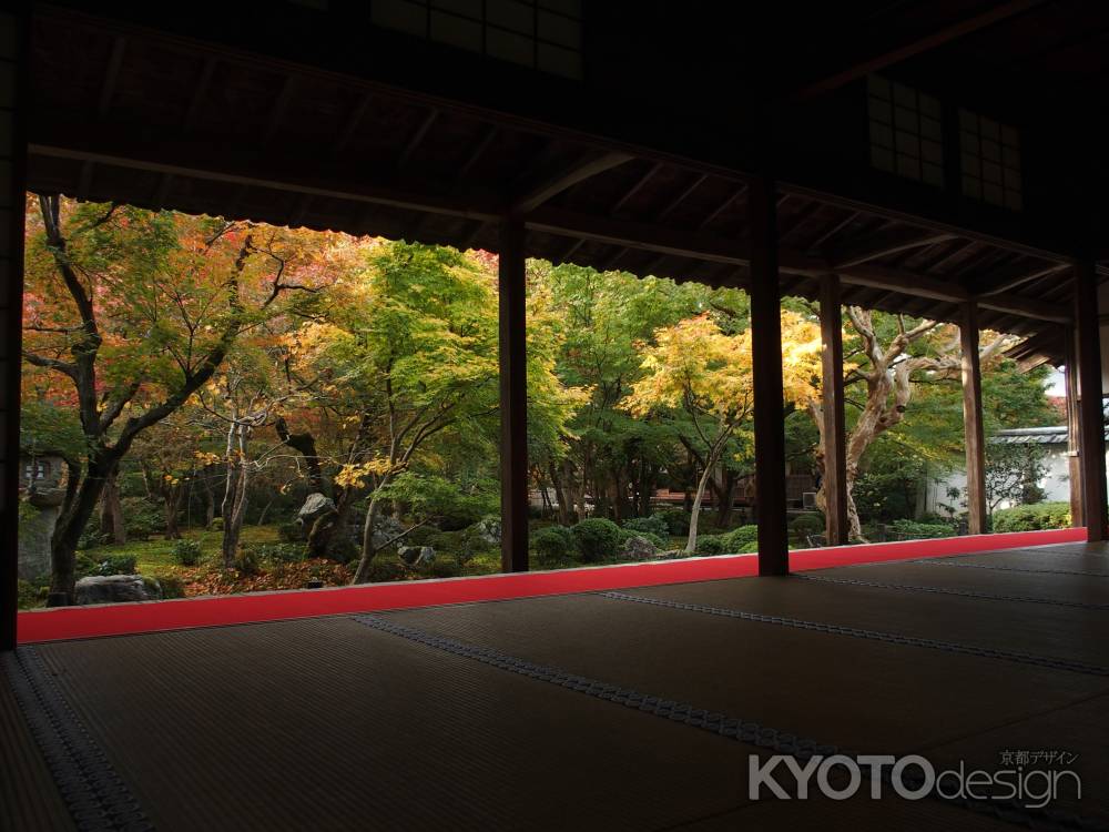 2019　初秋　圓光寺　5