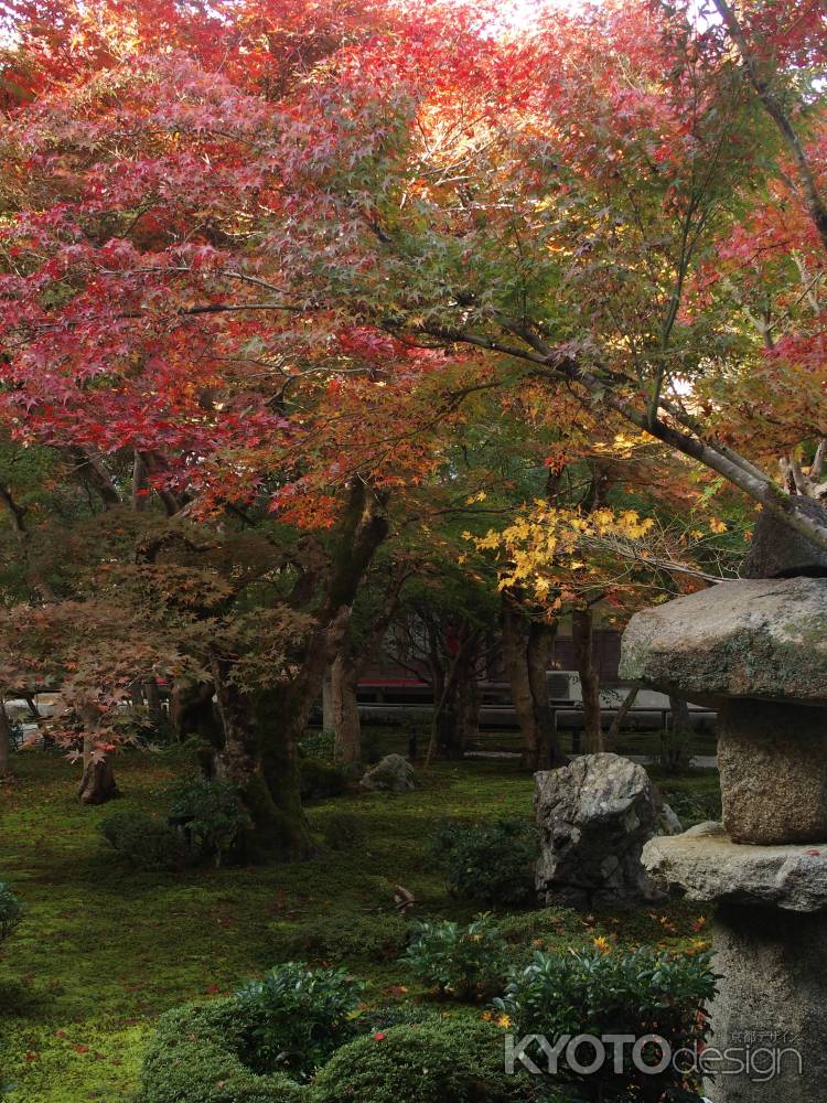 2019　初秋　圓光寺　7