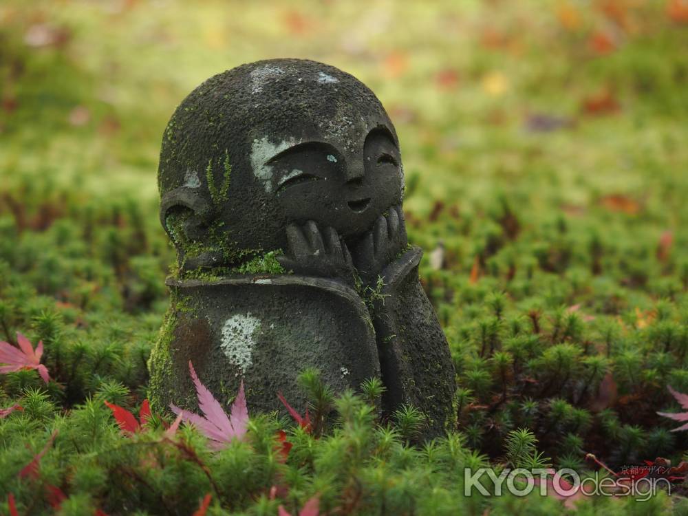 2019　初秋　圓光寺　12