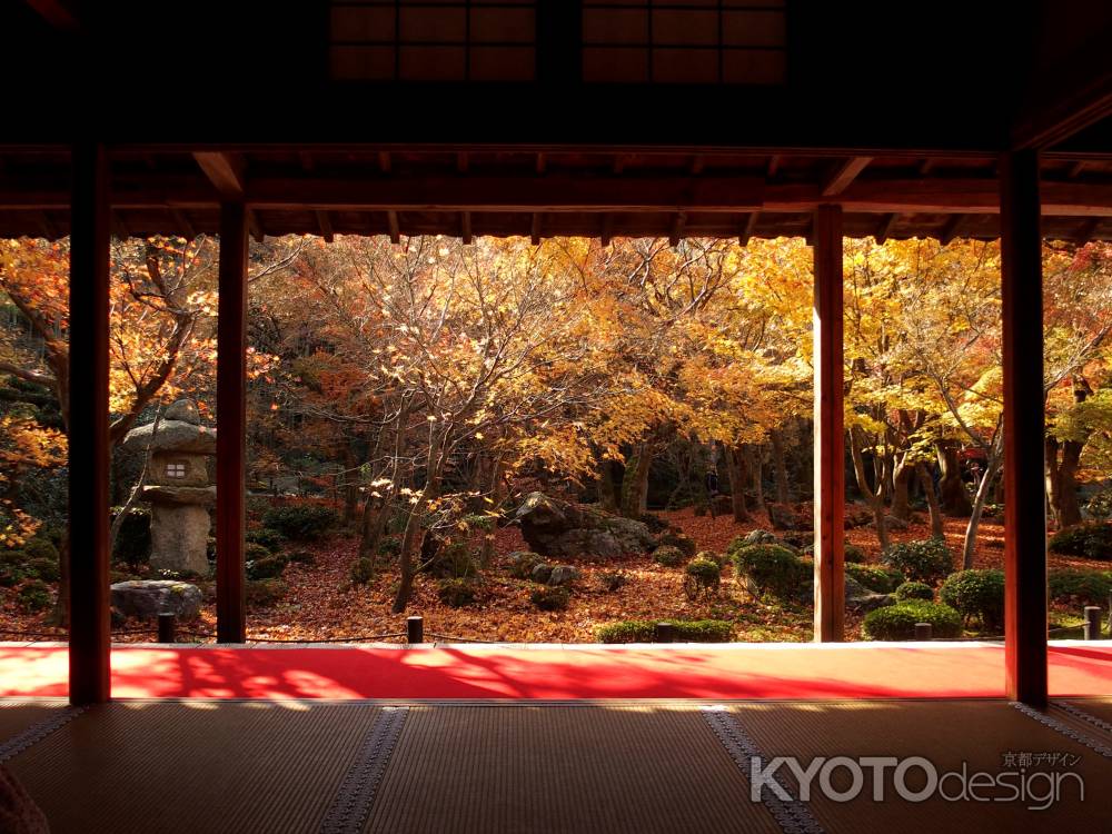 2019　晩秋　圓光寺　1