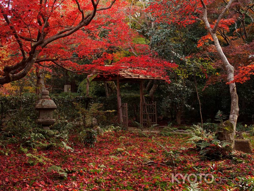 2019　盛秋　厭離庵　6 