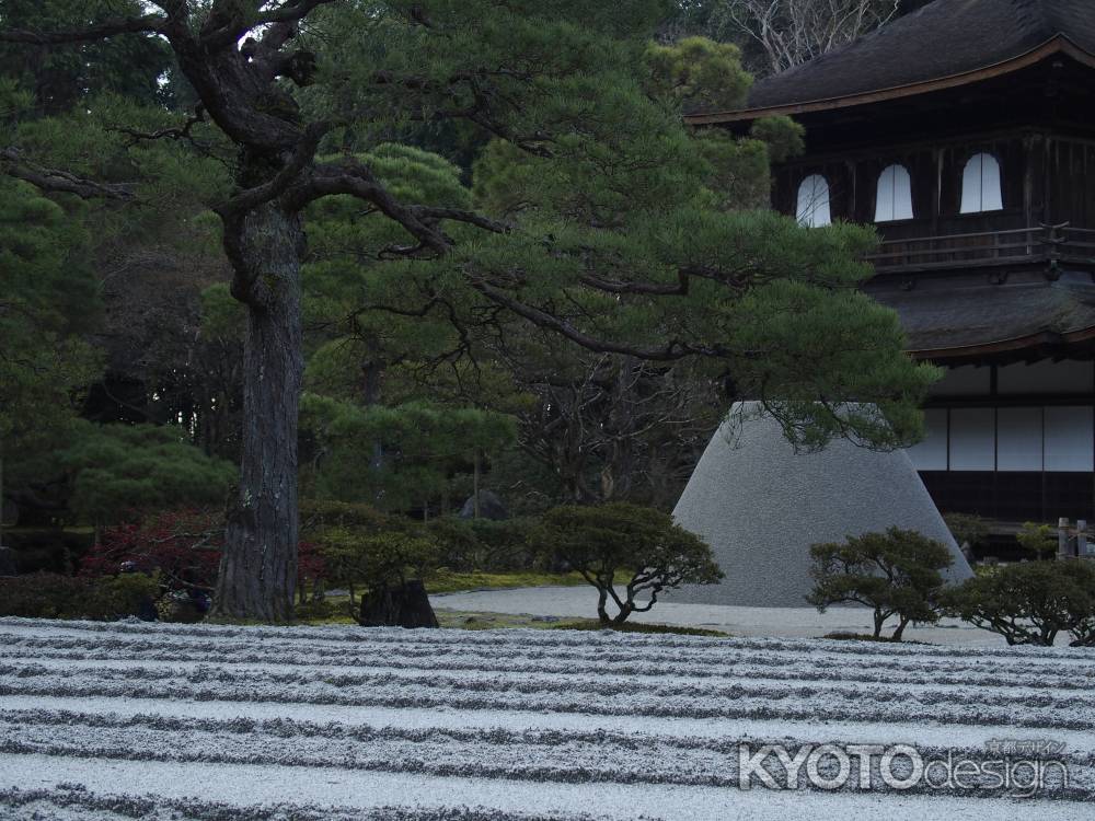 2020　冬　銀閣寺　5