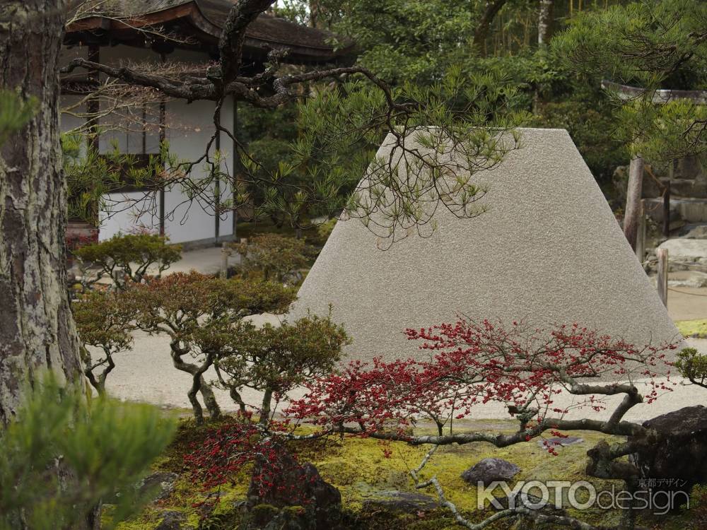 2020　冬　銀閣寺　8