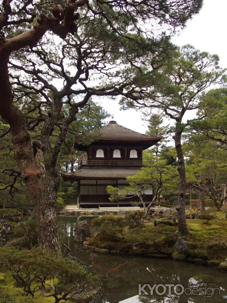 2020　冬　銀閣寺　13　