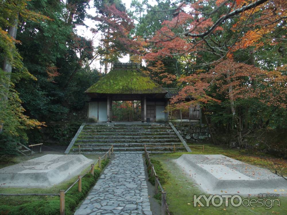 2019　盛秋　法然院　1