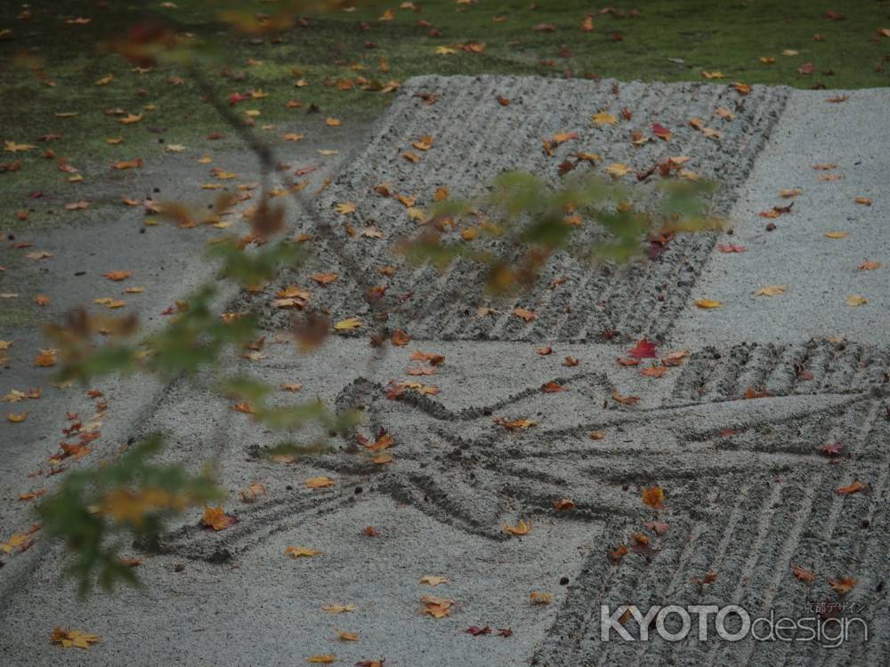 2019　盛秋　法然院　8