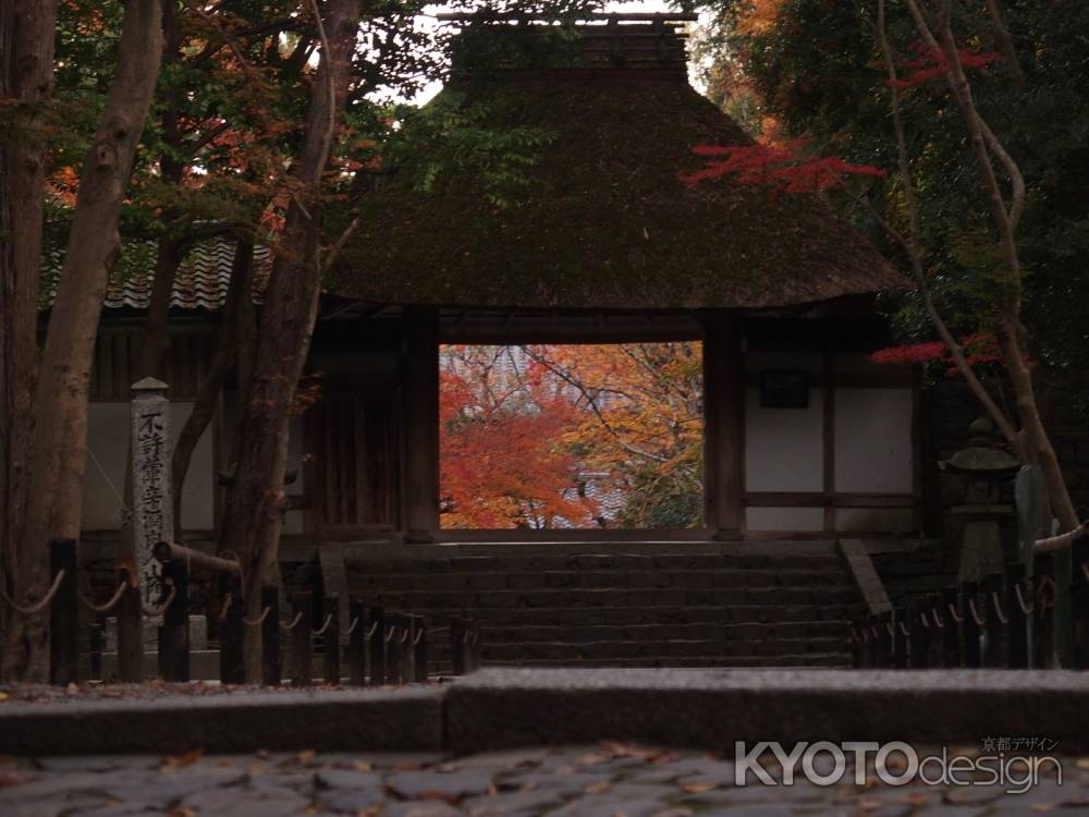 2019　盛秋　法然院　14