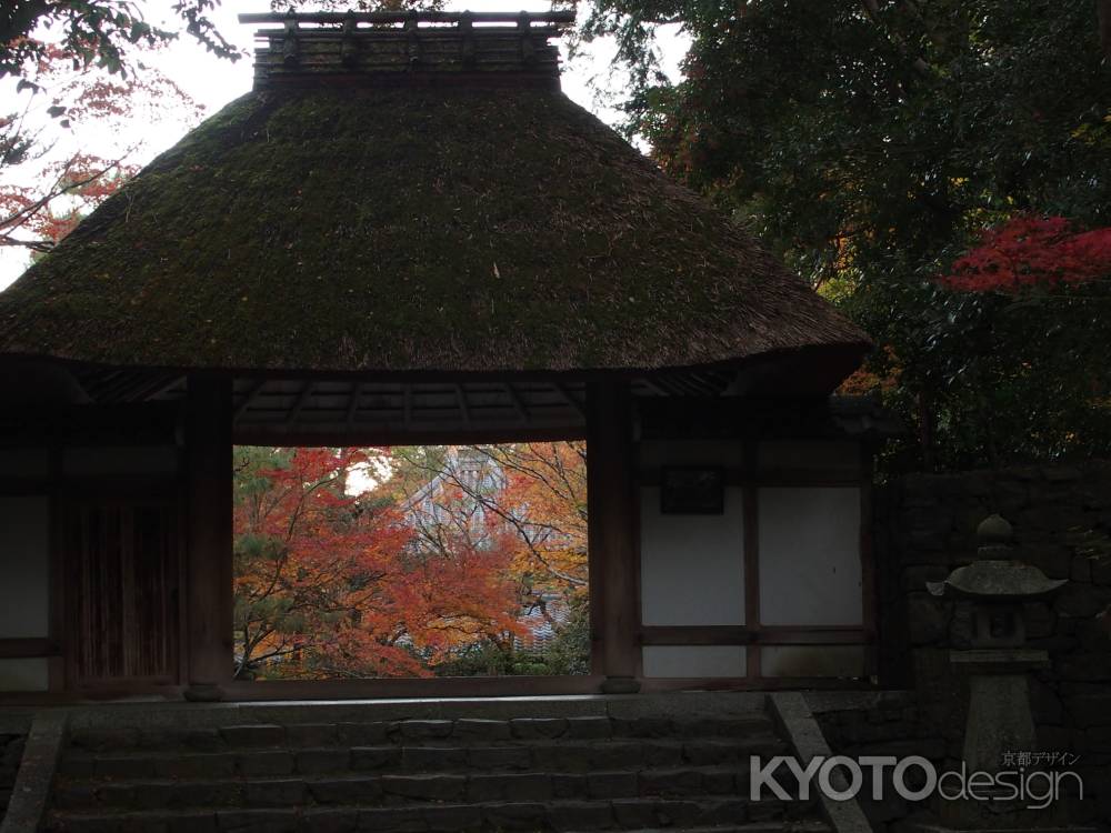 2019　盛秋　法然院　15